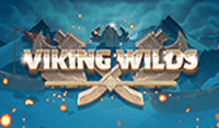 Viking Wilds door Iron Dog Studio